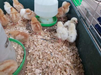 496934798_1248447107281071_8996566528350507273_n