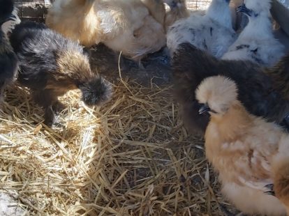 497643818_1248442583948190_3678649743927445290_n