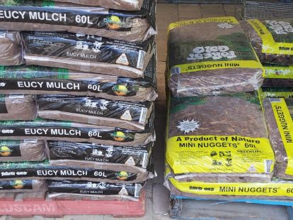 thumbnail_20251012_114620